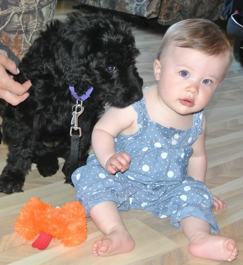 OUR GRANDDAUGHTER WITH CURRENT FEMALE PUPPY!
